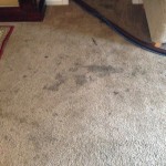 Dirty-Carpet-Aurora-IL